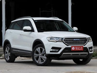  Haval H6 Coupe      