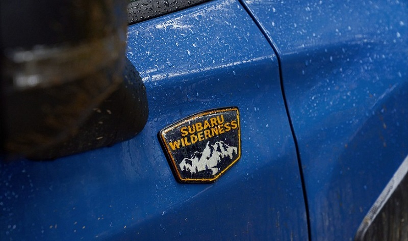   : Subaru    Forester Wilderness