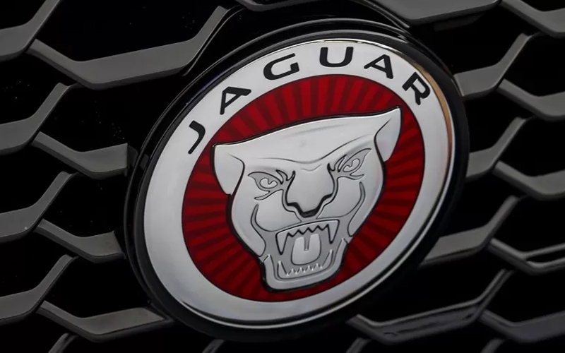 Jaguar   :          2025 